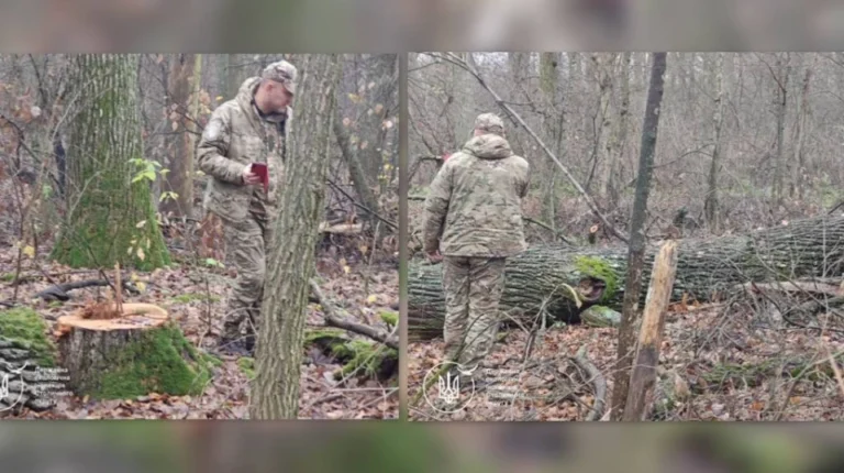 424690_5237786598743674056_new_960x500_0