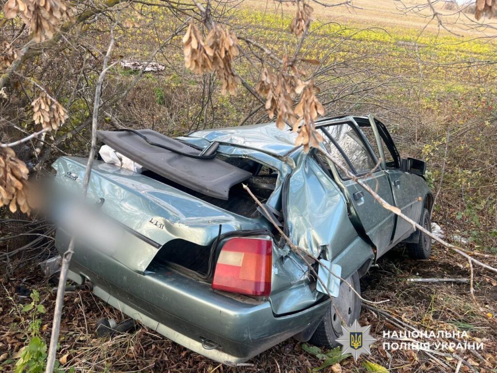 IMG_20251103_190622_625