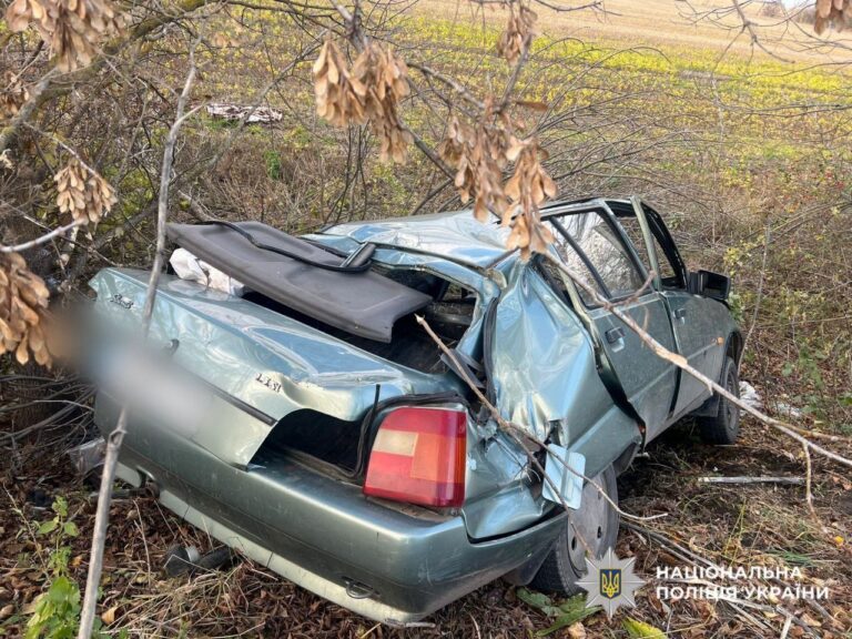 IMG_20251103_190622_625