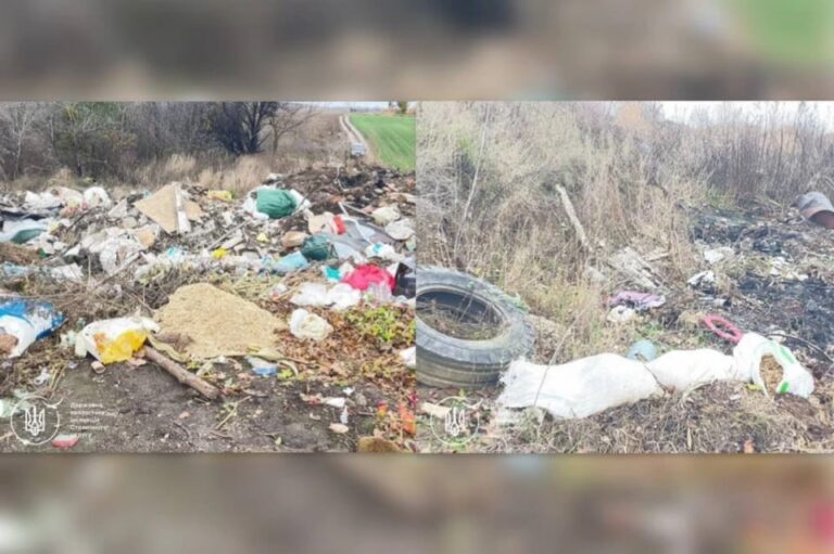 photo_2025-11-12_16-29-29