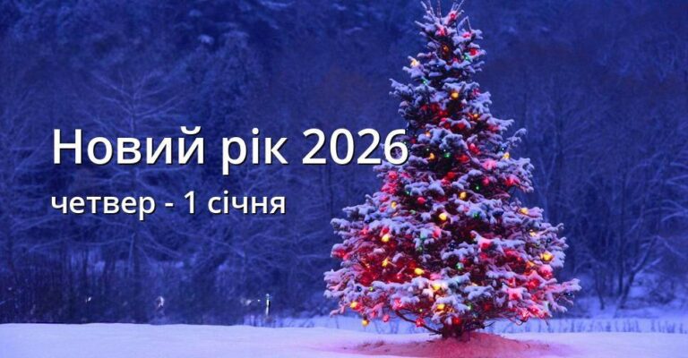 photo_2025-11-15_18-29-47