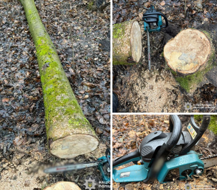 photo_2025-12-22_15-13-02