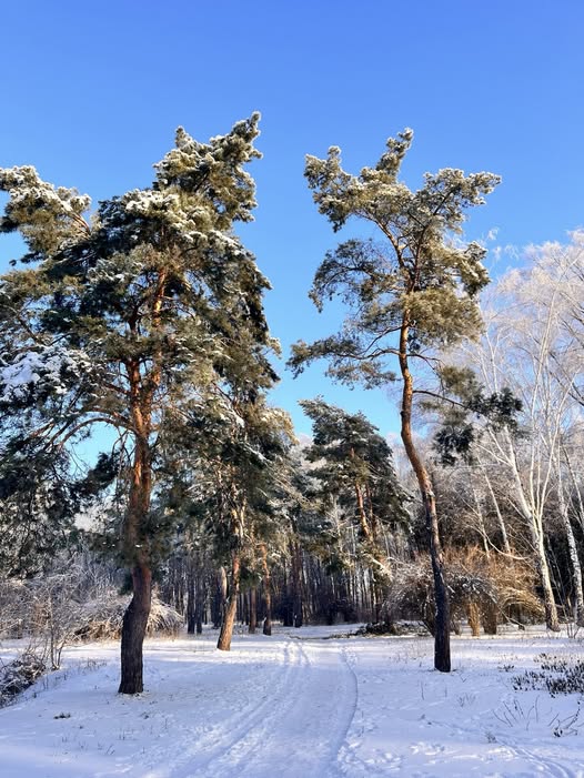 622218088_1525070899620625_511767109820789066_n