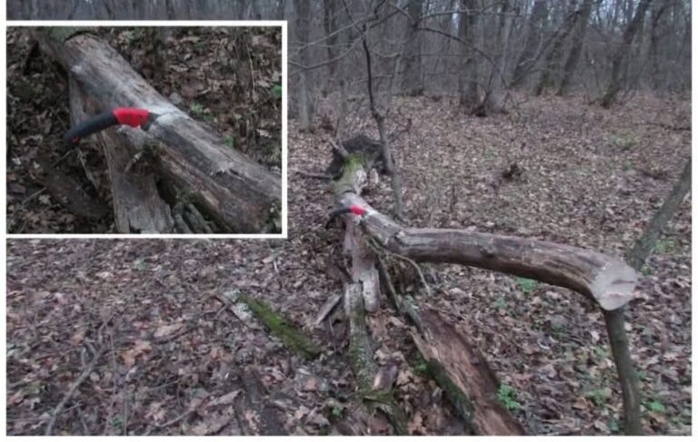 FB_IMG_1767258672620