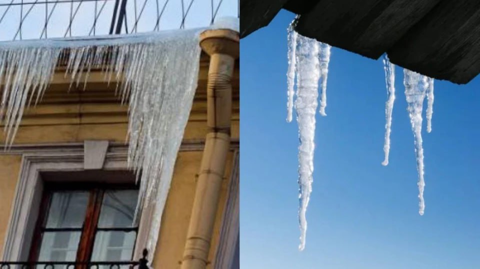 photo_2026-01-19_18-00-08