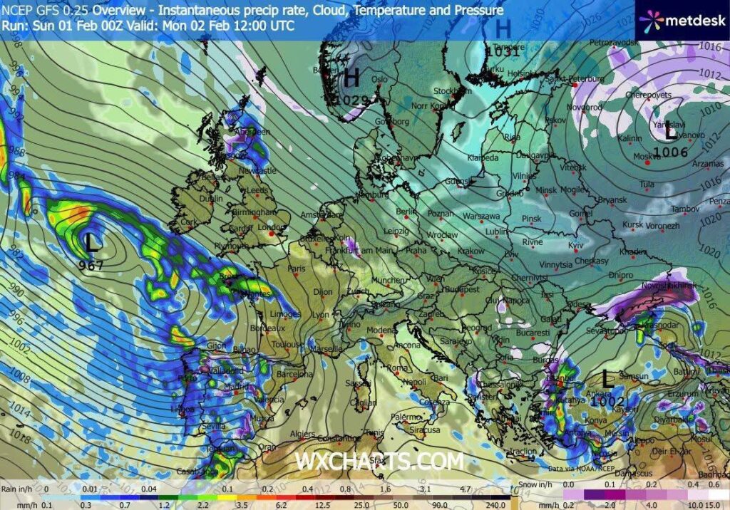 IMG_20260201_114750_334