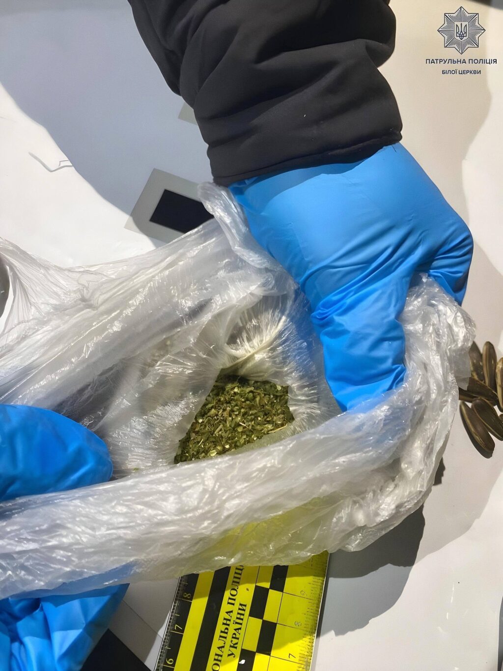 IMG_20260212_154537_311