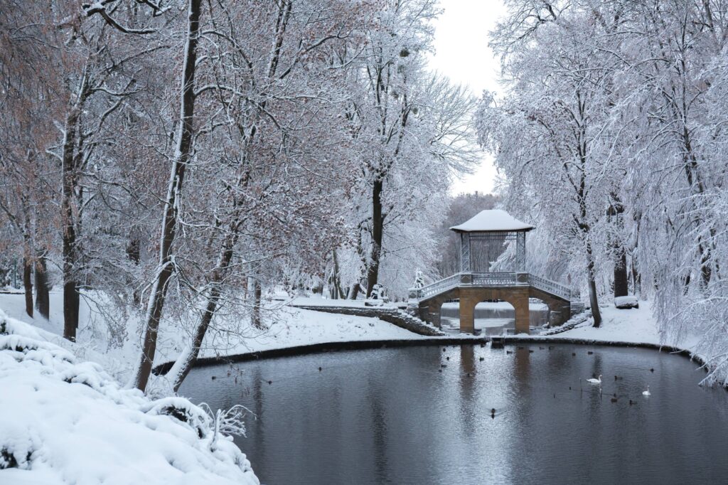 IMG_20260224_202546_064