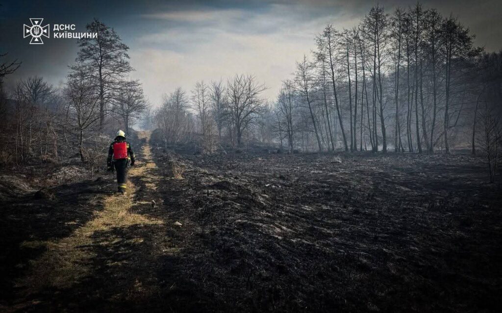 FB_IMG_1774363439093