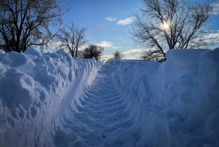 IMG_20260303_213058_232