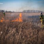 photo_2026-03-13_11-49-05