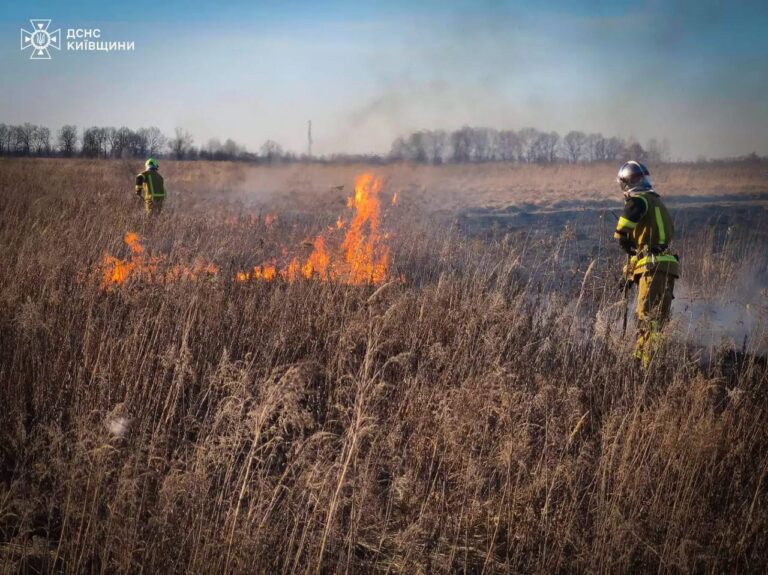 photo_2026-03-13_11-49-05