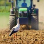 IMG_20260408_125814_741