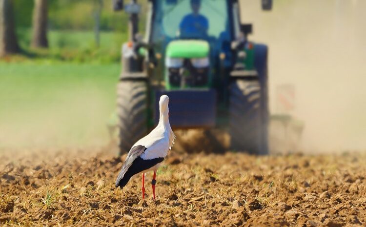 IMG_20260408_125814_741