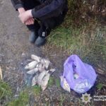 IMG_20260408_144055_667