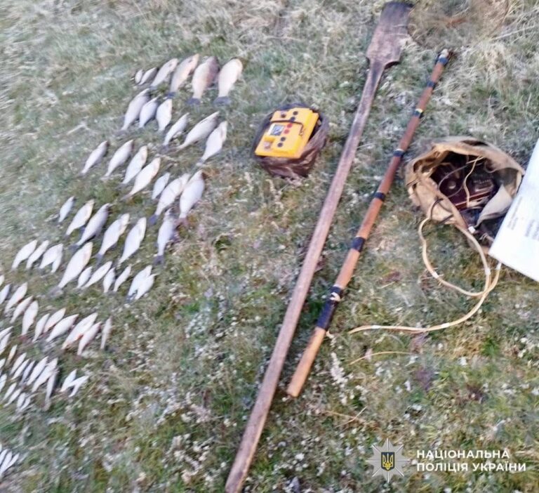 photo_2026-04-20_16-22-39