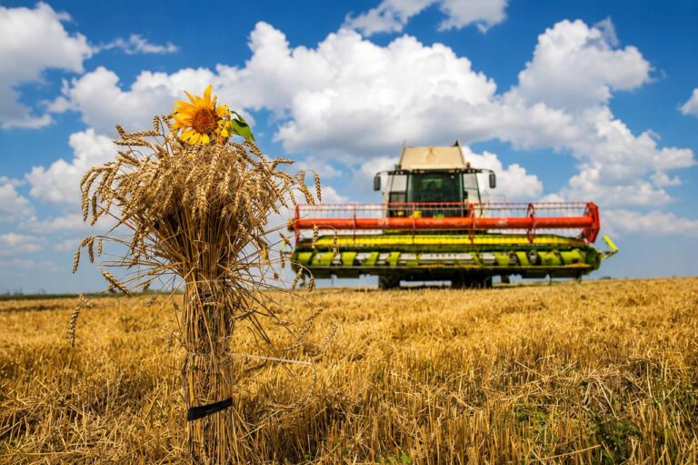 photo_2026-08-07_11-27-09